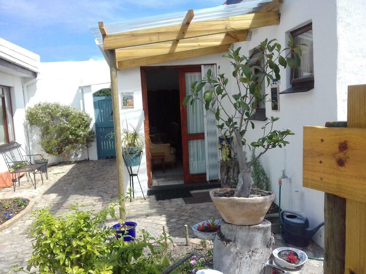 Apartmán Albatross Hermanus Exteriér fotografie