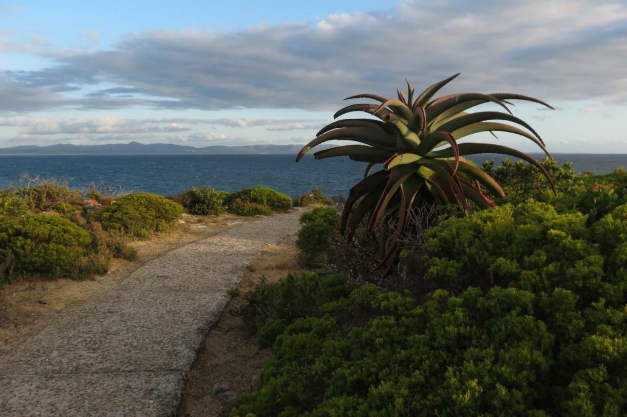 Apartmán Albatross Hermanus Exteriér fotografie