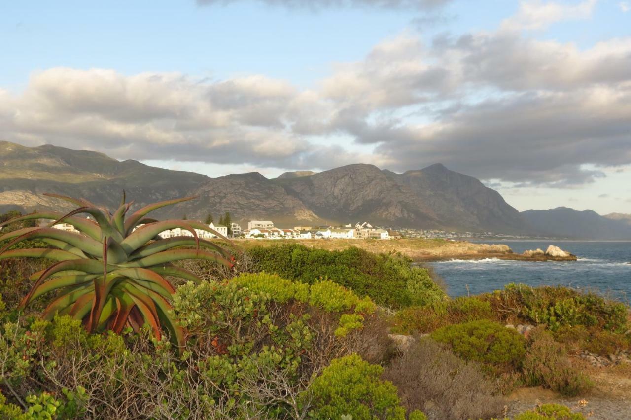 Apartmán Albatross Hermanus Exteriér fotografie